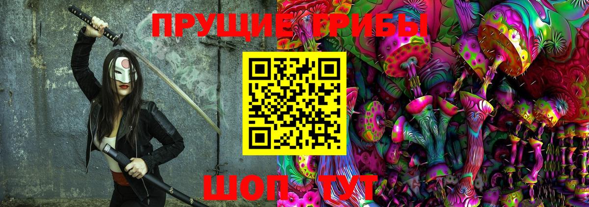 купить наркоту  Галлюциногенные грибы Psilocybine cubensis  Вход с VPN  Биробиджан 