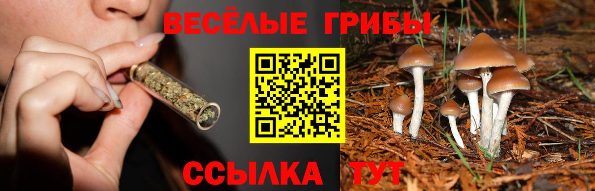 Псилоцибиновые грибы Magic Shrooms Биробиджан